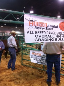 Championship Banners for B&C Cattle Co. along with some prospective buyers.